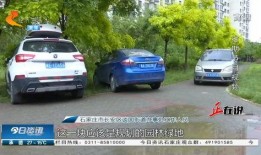 石家庄停车爆料事件视频,视频揭露惊人一幕