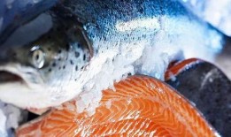 新闻爆料海鱼事件真相视频,视频揭露惊人内幕